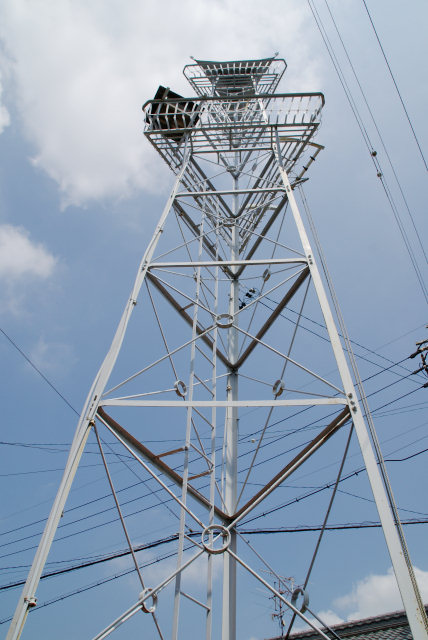 �Фθ�Ϧ�򸫾夲��